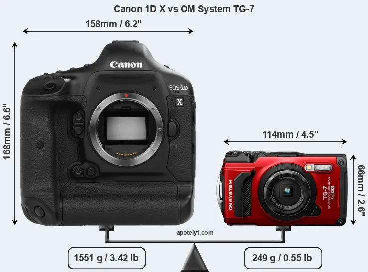 Size Canon 1D X vs OM System TG-7