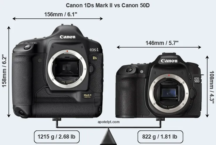 Size Canon 1Ds Mark II vs Canon 50D