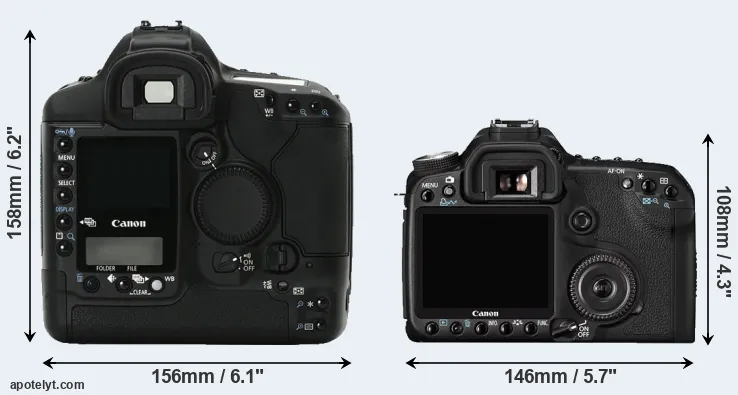 Comparison 1Ds Mark II or 50D rear