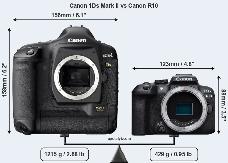 Size Canon 1Ds Mark II vs Canon R10