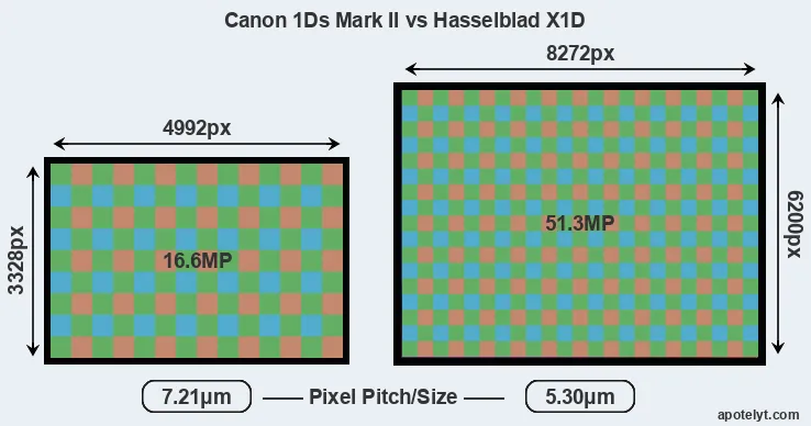 1Ds Mark II versus X1D MP