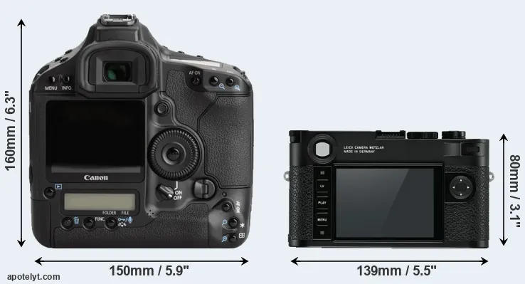 Comparison 1Ds Mark III or M10 rear