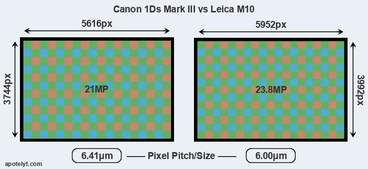 1Ds Mark III versus M10 MP