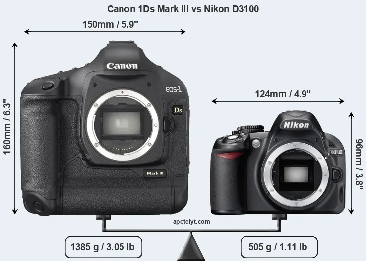 Size Canon 1Ds Mark III vs Nikon D3100