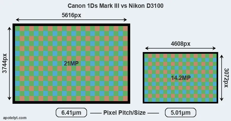 1Ds Mark III versus D3100 MP