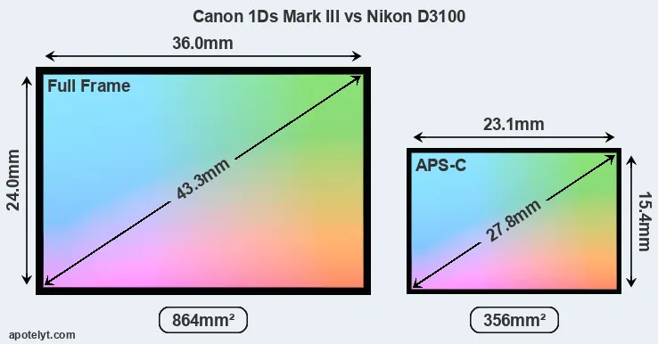 Canon 1Ds Mark III and Nikon D3100 sensor measures