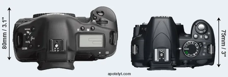 Compare 1Ds Mark III versus D3100 top