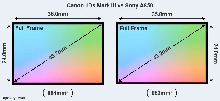 Canon 1Ds Mark III and Sony A850 sensor measures
