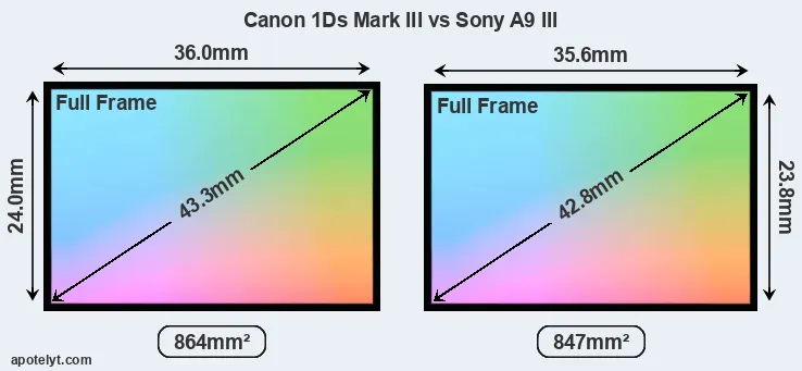 Canon 1Ds Mark III and Sony A9 III sensor measures