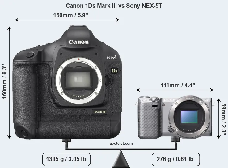 Size Canon 1Ds Mark III vs Sony NEX-5T