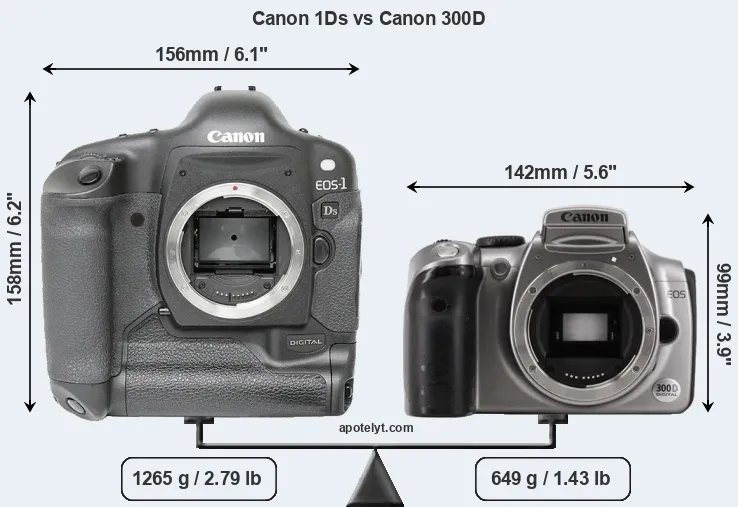 Size Canon 1Ds vs Canon 300D