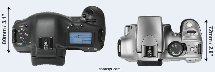 Compare 1Ds versus 300D top
