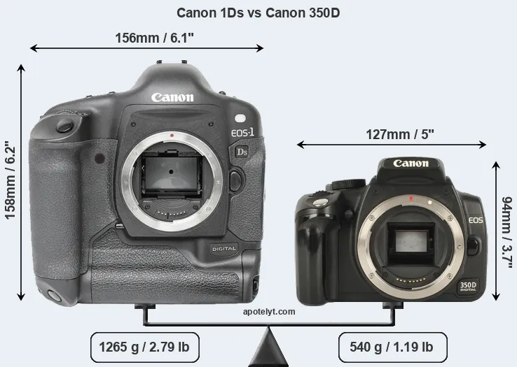 Size Canon 1Ds vs Canon 350D