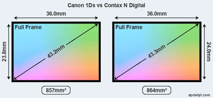 Canon 1Ds and Contax N Digital sensor measures