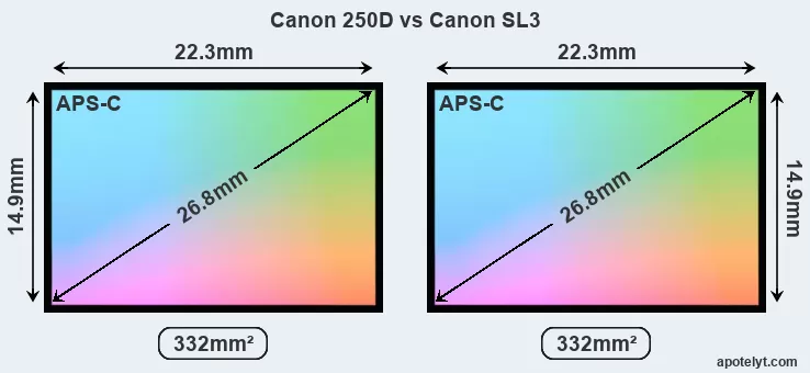 Comparing Canon EOS 250D Rebel SL3 and 200D SL2 DSLR Cameras