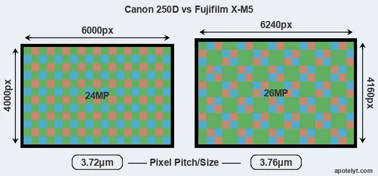 250D versus X-M5 MP