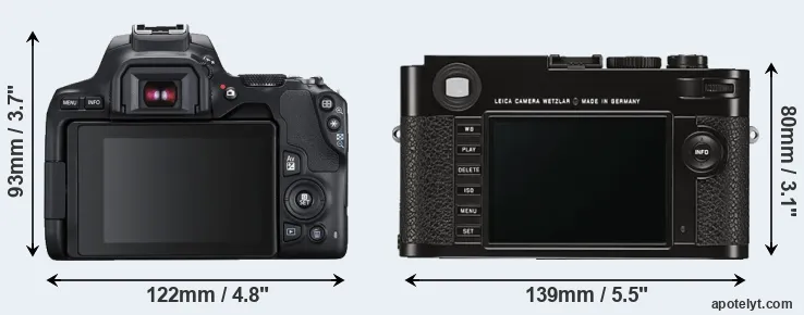Comparison 250D or M Typ 262 rear