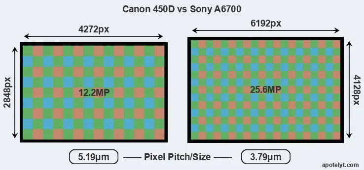 450D versus A6700 MP