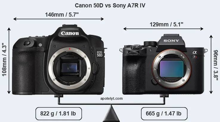 Size Canon 50D vs Sony A7R IV
