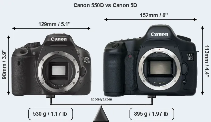 Canon 550D vs Canon 5D Comparison Review