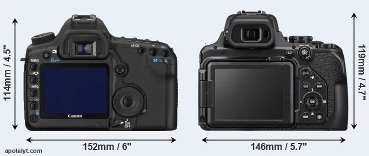 Comparison 5D Mark II or P1000 rear