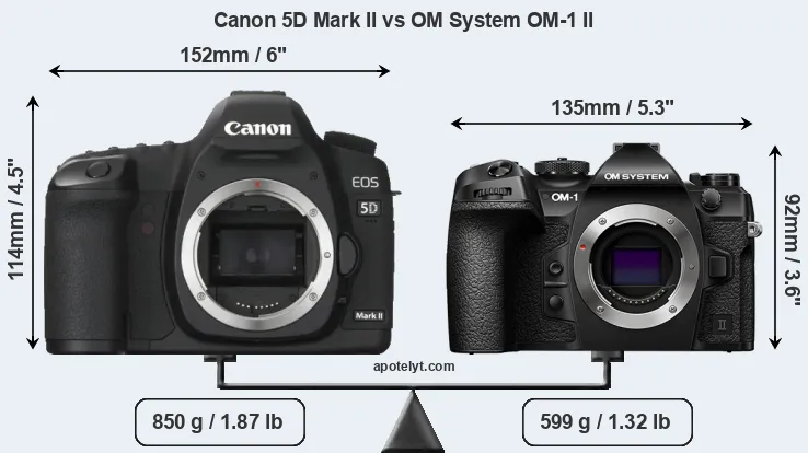 Size Canon 5D Mark II vs OM System OM-1 II