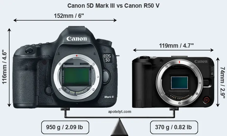 Canon EOS 5D MARK3、その他、EF50 STMなど レンタル] Canon EOS 5D Mark III EF24-105 F4L IS USM レンズ