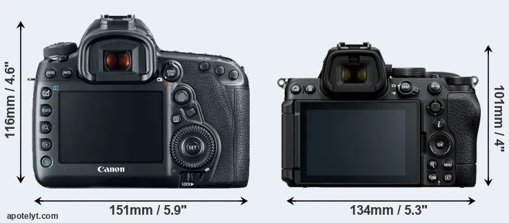 Comparison 5D Mark IV or Z5 II rear