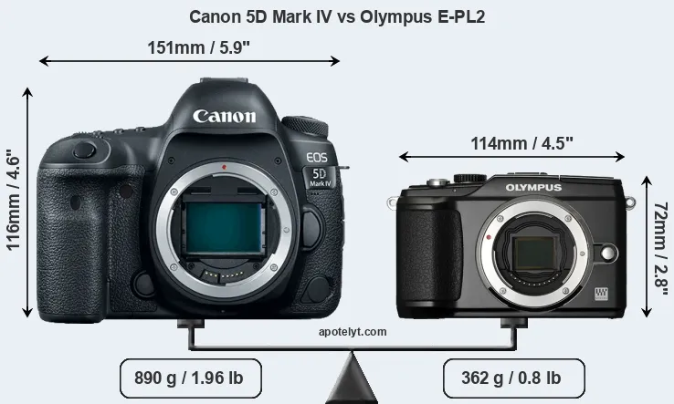 Size Canon 5D Mark IV vs Olympus E-PL2