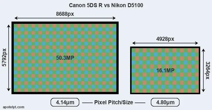 5DS R versus D5100 MP