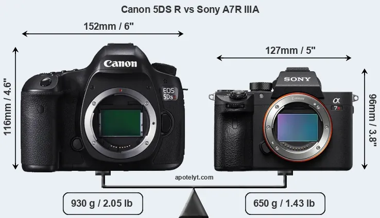 Size Canon 5DS R vs Sony A7R IIIA