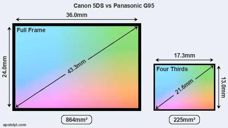 Canon 5DS and Panasonic G95 sensor measures