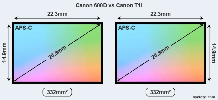 Canon 600D and Canon T1i sensor measures
