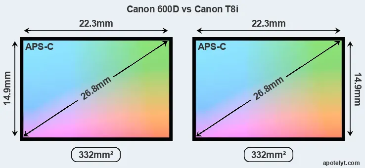 Canon 600D and Canon T8i sensor measures