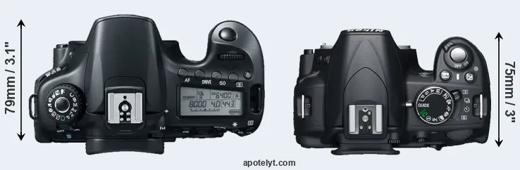 Compare 60D versus D3100 top