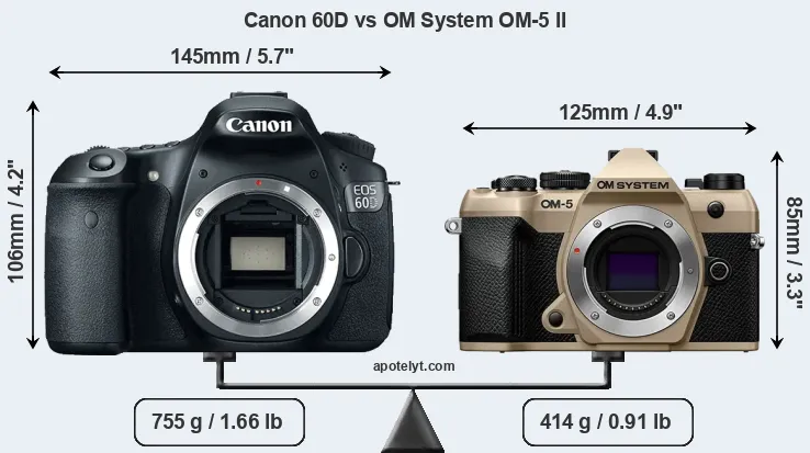 Size Canon 60D vs OM System OM-5 II