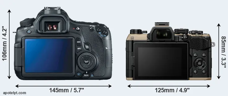 Comparison 60D or OM-5 II rear