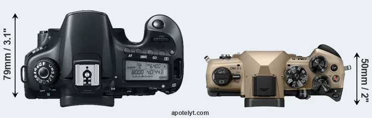 Compare 60D versus OM-5 II top