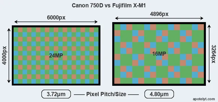 750D versus X-M1 MP