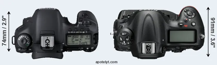 Compare 7D versus D4S top