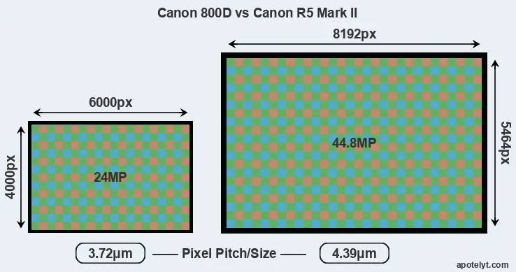 800D versus R5 Mark II MP