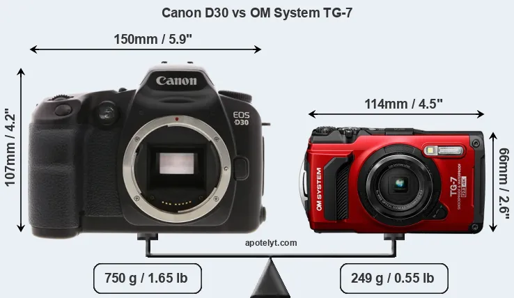 Size Canon D30 vs OM System TG-7