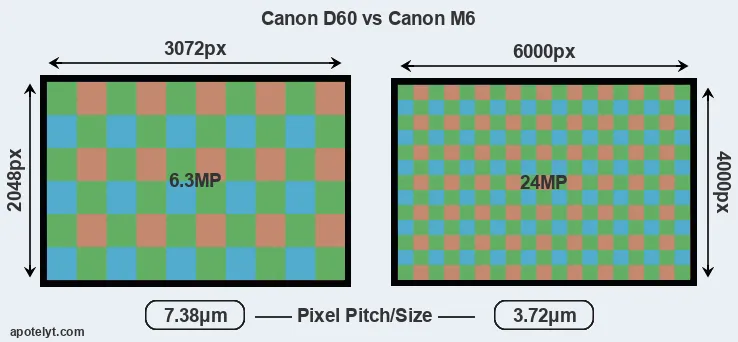 D60 versus M6 MP