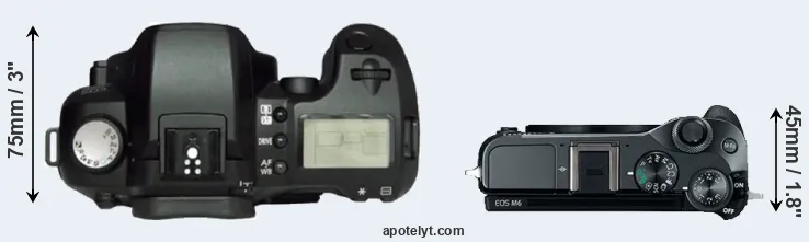 Compare D60 versus M6 top