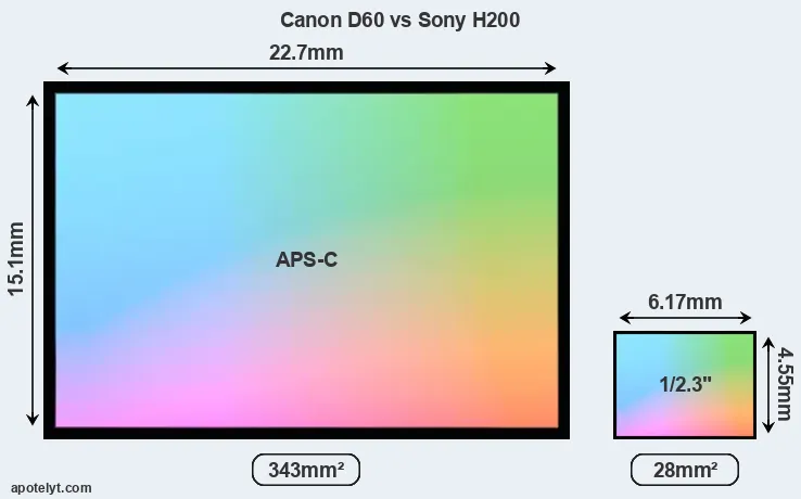 Canon D60 and Sony H200 sensor measures