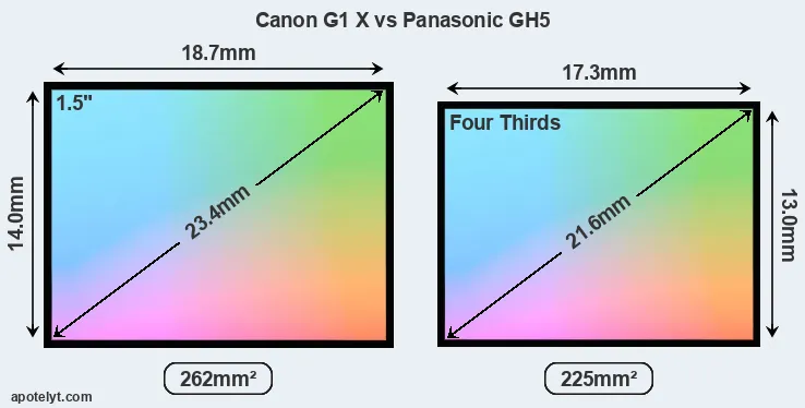 Canon G1 X and Panasonic GH5 sensor measures
