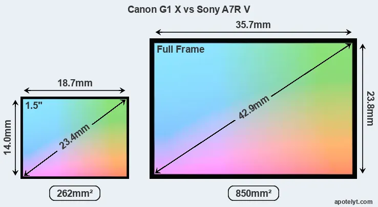 Canon G1 X and Sony A7R V sensor measures