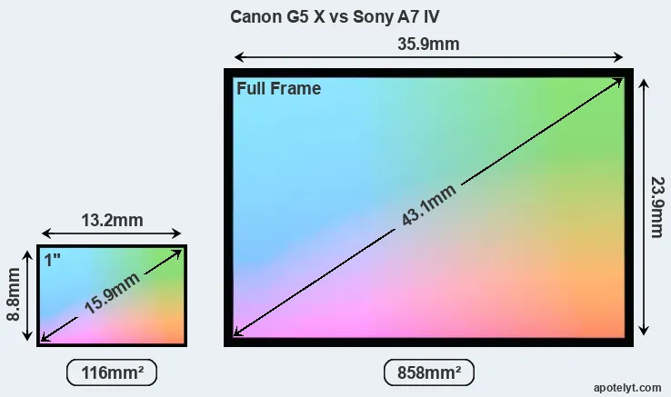 Canon G5 X and Sony A7 IV sensor measures