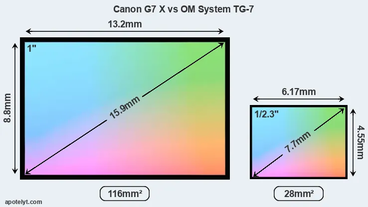 Canon G7 X and OM System TG-7 sensor measures