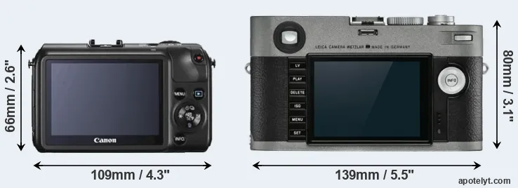 Comparison Canon M or M-E Typ 240 rear